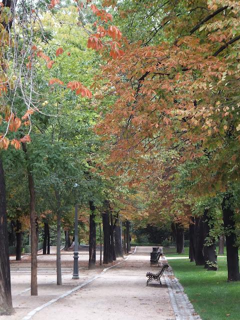 Otoño en Madrid    /     Autumn in Madrid