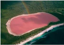 Un lago de color Rosa (lo ví en el blog La hipótesis Gaia)