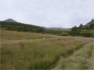 Las raíces Las raíces