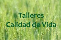 Calidad de vida talleres y cursos