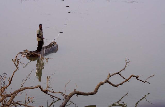 El valle de Luangwa, comencemos desde el Norte El valle de Luangwa, comencemos desde el Norte