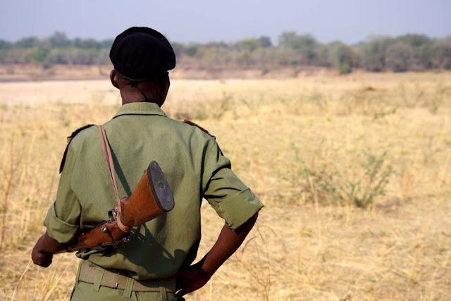 El valle de Luangwa, comencemos desde el Norte El valle de Luangwa, comencemos desde el Norte