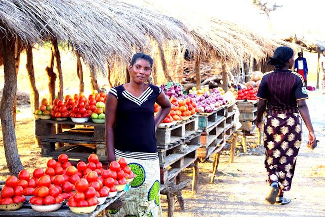El valle de Luangwa, comencemos desde el Norte El valle de Luangwa, comencemos desde el Norte
