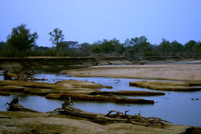 El valle de Luangwa, comencemos desde el Norte El valle de Luangwa, comencemos desde el Norte