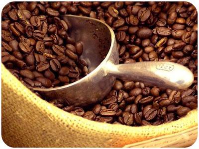 ¿Cómo se mide la calidad del café?