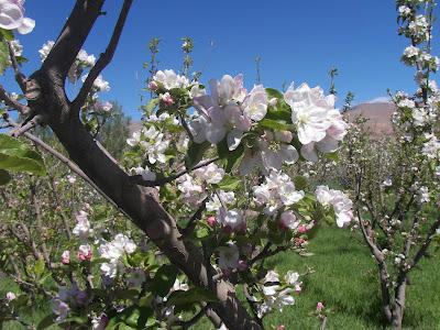 El valle de Ousikis