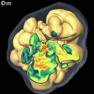 La muerte de una estrella en tres dimensiones La muerte de una estrella en tres dimensiones
