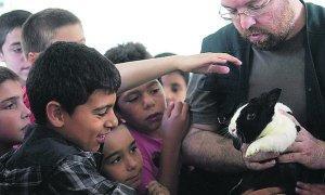 Clases contra el maltrato animal Clases contra el maltrato animal