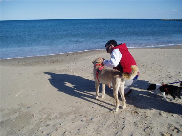 Historias de adoptados.Selena Historias de adoptados.Selena