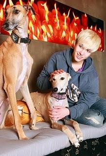 ONDINA - Galgos ONDINA - Galgos
