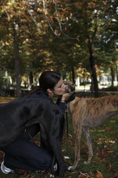 MARIBEL VERDÚ - Galgos