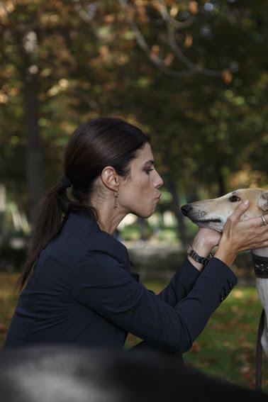 MARIBEL VERDÚ - Galgos