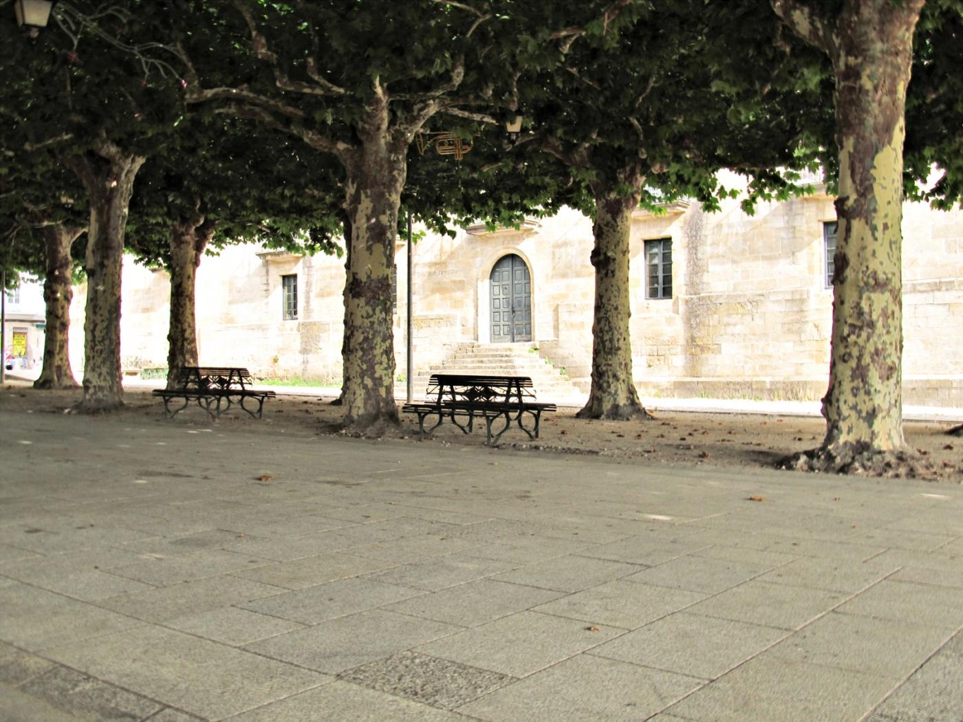 Alameda_IMG_3883---IMG_3885 Alameda revisitada, también en verano, con el follaje en su mejor momento.