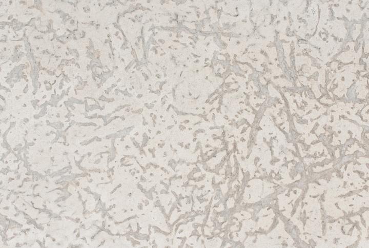 Thom_Fougere_Tyndall_Table-53-Edit Thom Fougere