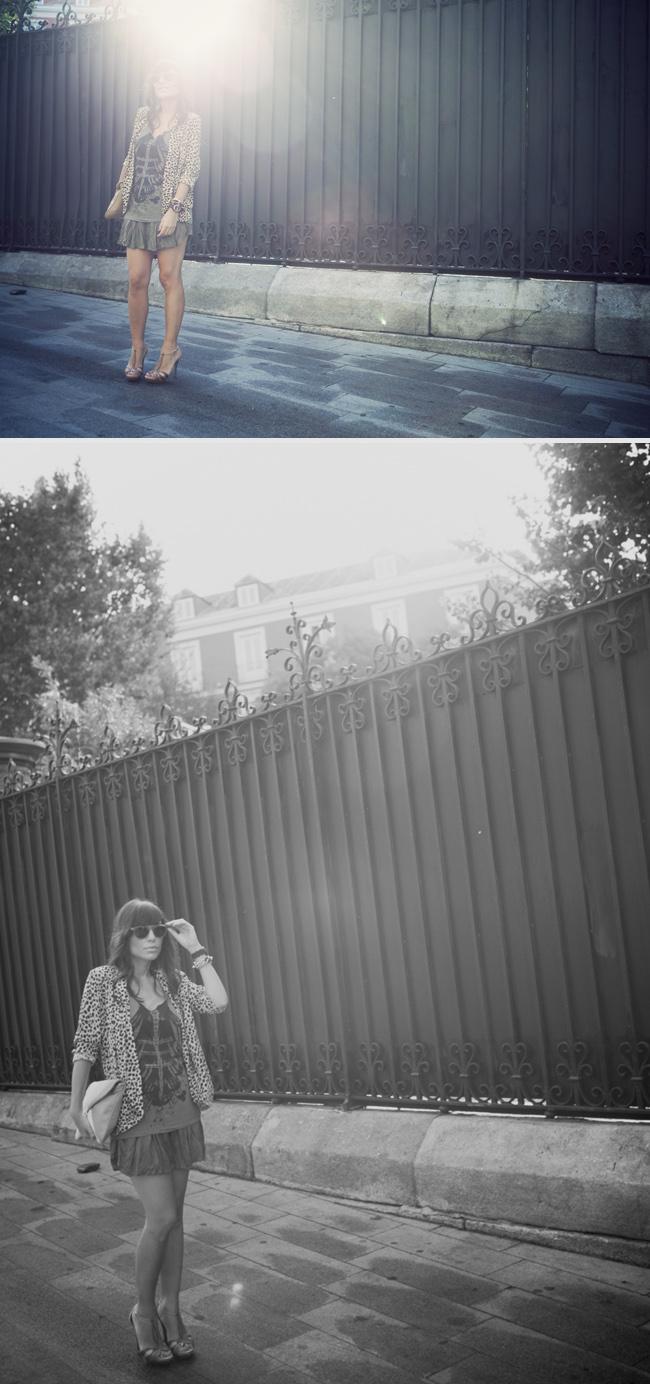 lady shorts & print jacket lady shorts & print jacket