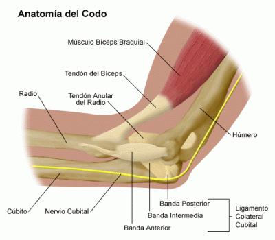 Tratamiento con inyecciones para el codo de tenista Tratamiento con inyecciones para el codo de tenista