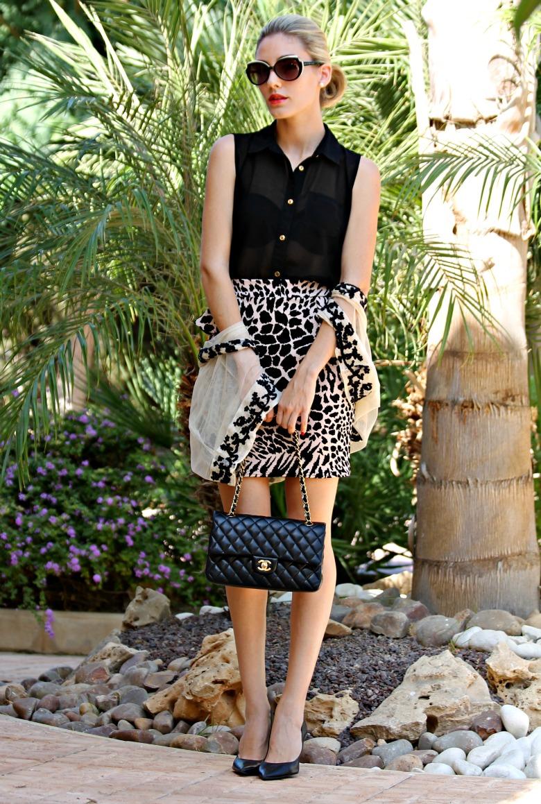 Neutral Colors Neutral Colors