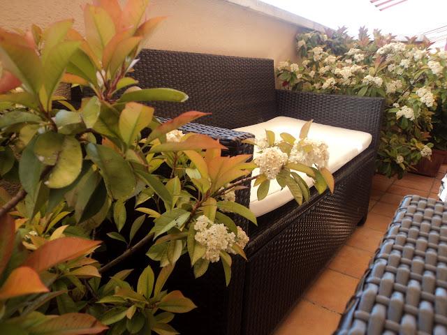 UN BRUNCH EN LA TERRAZA UN BRUNCH EN LA TERRAZA