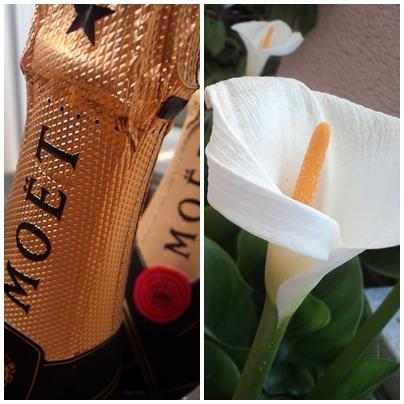 UN BRUNCH EN LA TERRAZA UN BRUNCH EN LA TERRAZA