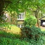 Reforma de un jardín de sombra Reforma de un jardín de sombra