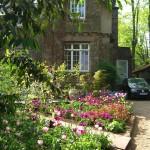 Reforma de un jardín de sombra Reforma de un jardín de sombra