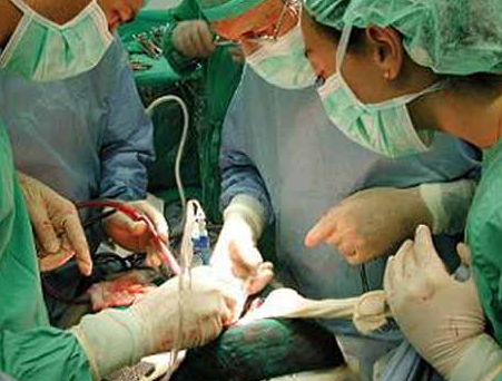 Guía para ser un buen médico (2/3) Guía para ser un buen médico (2/3)