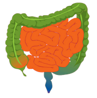 Vivir con SHA · Mi Historia · Síndrome del Intestino Irritable Vivir con SHA · Mi Historia · Síndrome del Intestino Irritable