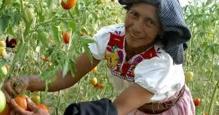 15 de Octubre: Día Mundial de la Mujer Rural.