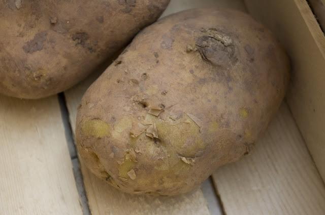 Este post es una Patata Este post es una Patata