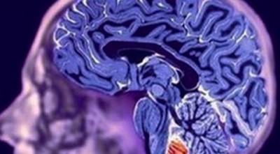 El origen de los sueños es un proceso de la memoria El origen de los sueños es un proceso de la memoria