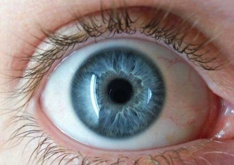 Un implante de retina podría ayudar a detectar el movimiento en pacientes ciegos