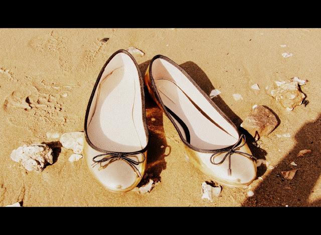 GOLDEN FOX PRINT GOLDEN FOX PRINT