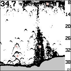 SONDA IMAGENES SONDA IMAGENES SONDAS DE PESCA