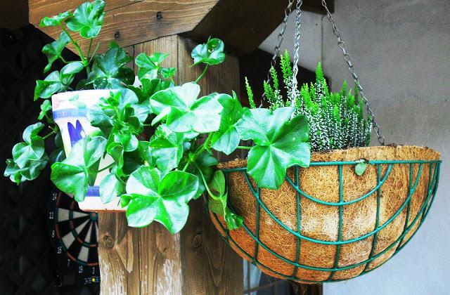 YA ES VIERNES....................................(Jardineria).- YA ES VIERNES....................................(Jardineria).-