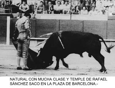 60 AÑOS DE LA RETIRADA DE RAFAEL SÀNCHEZ SACO: UN NOVILLO DE SÁNCHEZ ARJONA LE RETIRO DEL TOREO EN BARCELONA 60 AÑOS DE LA RETIRADA DE RAFAEL SÀNCHEZ SACO: UN NOVILLO DE SÁNCHEZ ARJONA LE RETIRO DEL TOREO EN BARCELONA