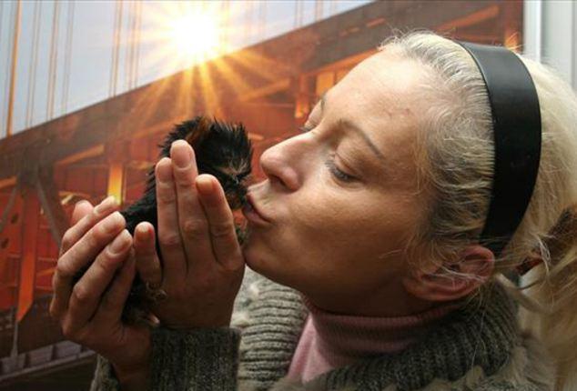 El perro mas pequeño del mundo