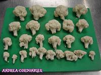 SUPREMA DE SALMÓN CON SALSA DE ALBAHACA, CHUCRUT Y FLORES DE COLIFLOR SUPREMA DE SALMÓN CON SALSA DE ALBAHACA, CHUCRUT Y FLORES DE COLIFLOR