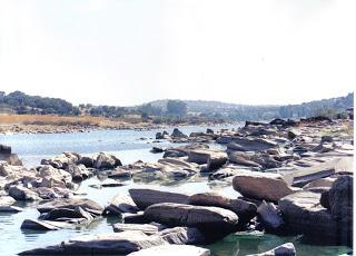 Que no cesa Que no cesa