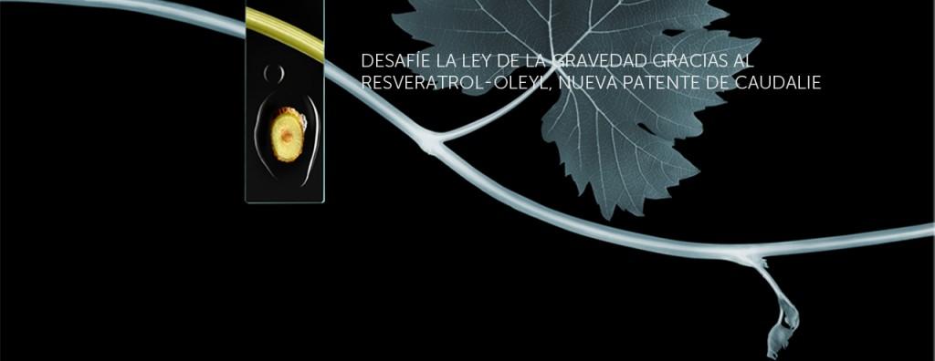 Vinexpert La renovada gama Vinexpert de Caudalie