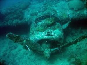Bombardero Togian Islas Togian. El paraíso perdido de Indonesia