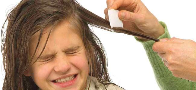 piojos Empieza la época de piojos