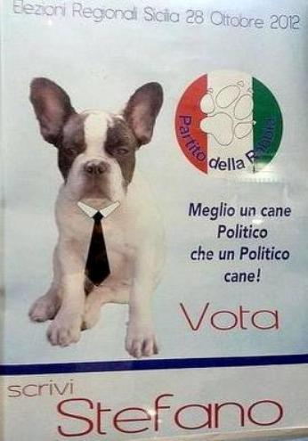 “Un político con malas pulgas”. Un Bulldog Francés se presenta a la alcaldía de Agrigento en Sicilia.