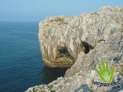 Un Plan: Peña Tú y los Bufones de Arenillas Un Plan: Peña Tú y los Bufones de Arenillas