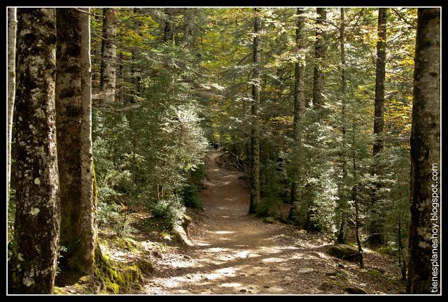 Valle de Ordesa Valle de Ordesa