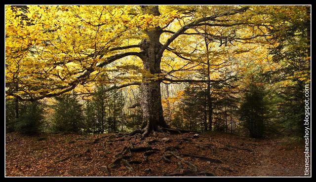 Otoño en Ordesa Otoño en Ordesa