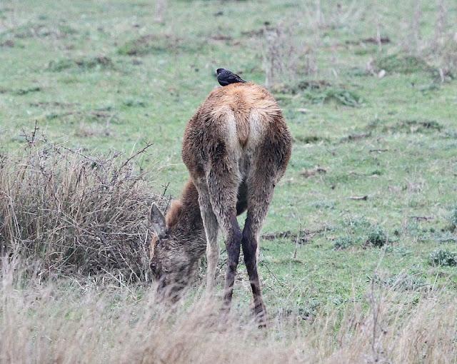 PRIMAVERA EN SALBURUA PRIMAVERA EN SALBURUA