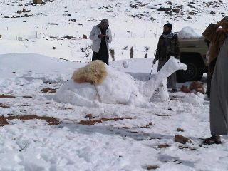 El espectáculo de la nieve en el Sahara El espectáculo de la nieve en el Sahara