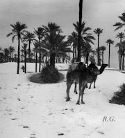 El espectáculo de la nieve en el Sahara El espectáculo de la nieve en el Sahara