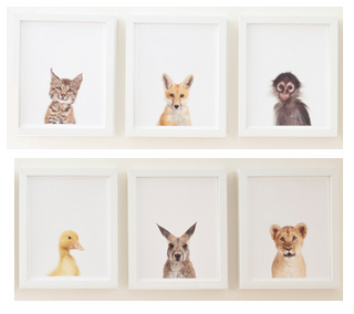 Animales bebés para decorar habitaciónes de bebés