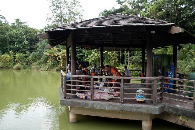 Primer día en Singapur Botanic Garden